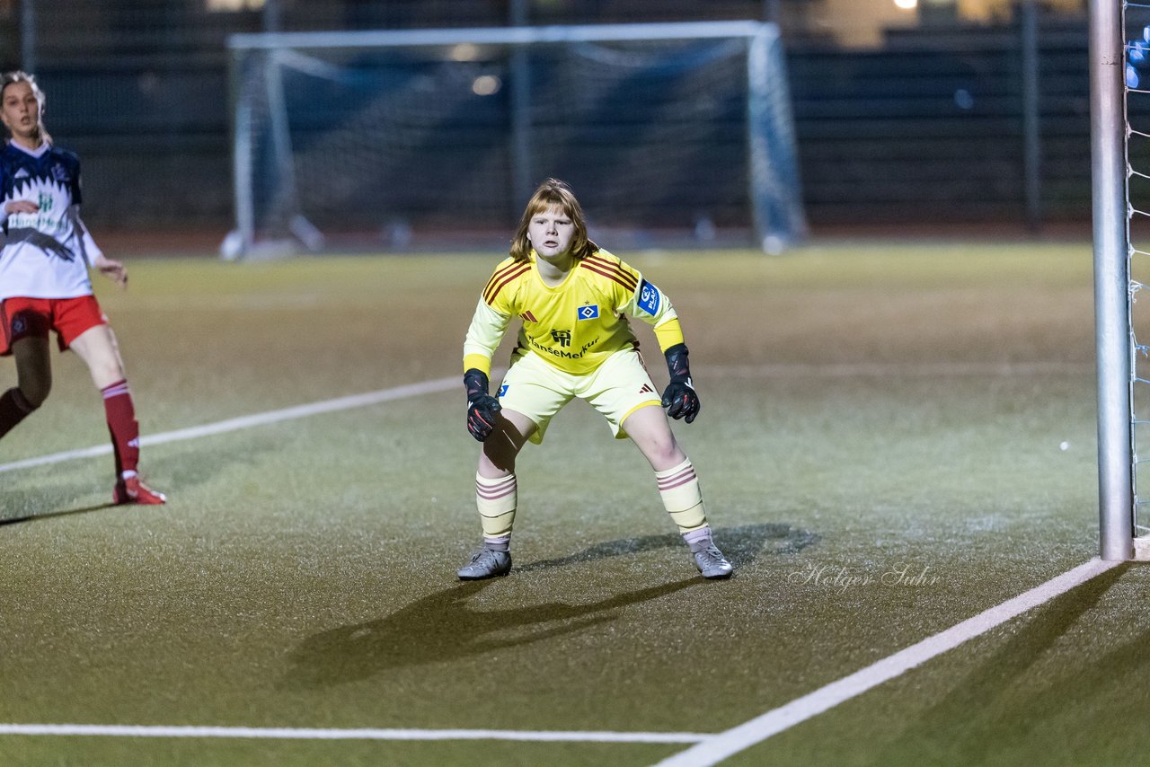 Bild 171 - F SC Alstertal-Langenhorn - Hamburger SV 3 : Ergebnis: 2:2